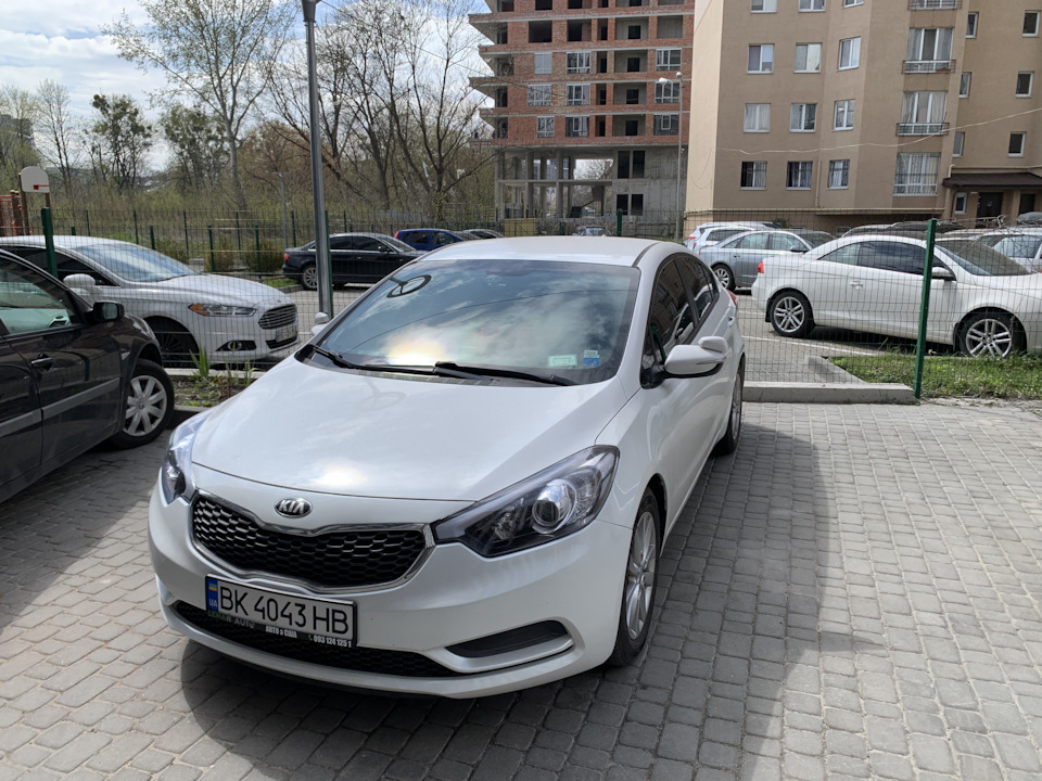 Тонування 4