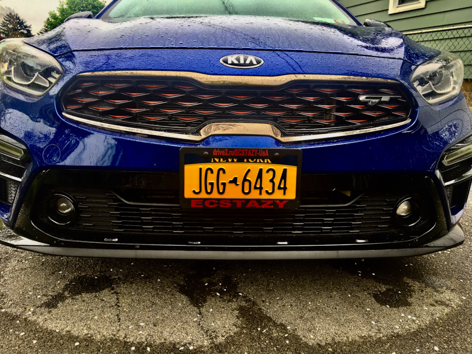 License plate frame 1