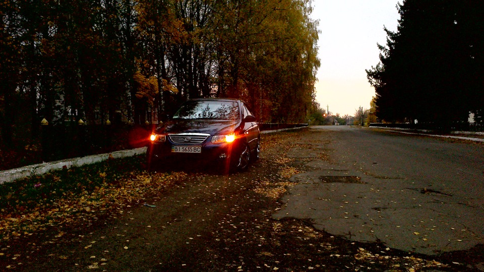 Осінь, осінь... 4