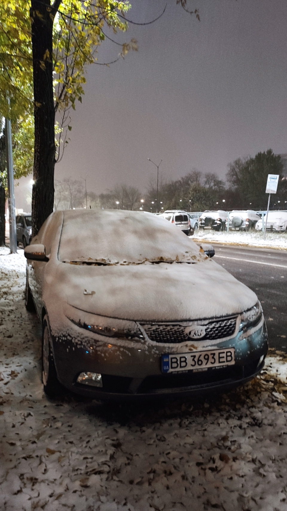 Багато дрібниць до зими 2