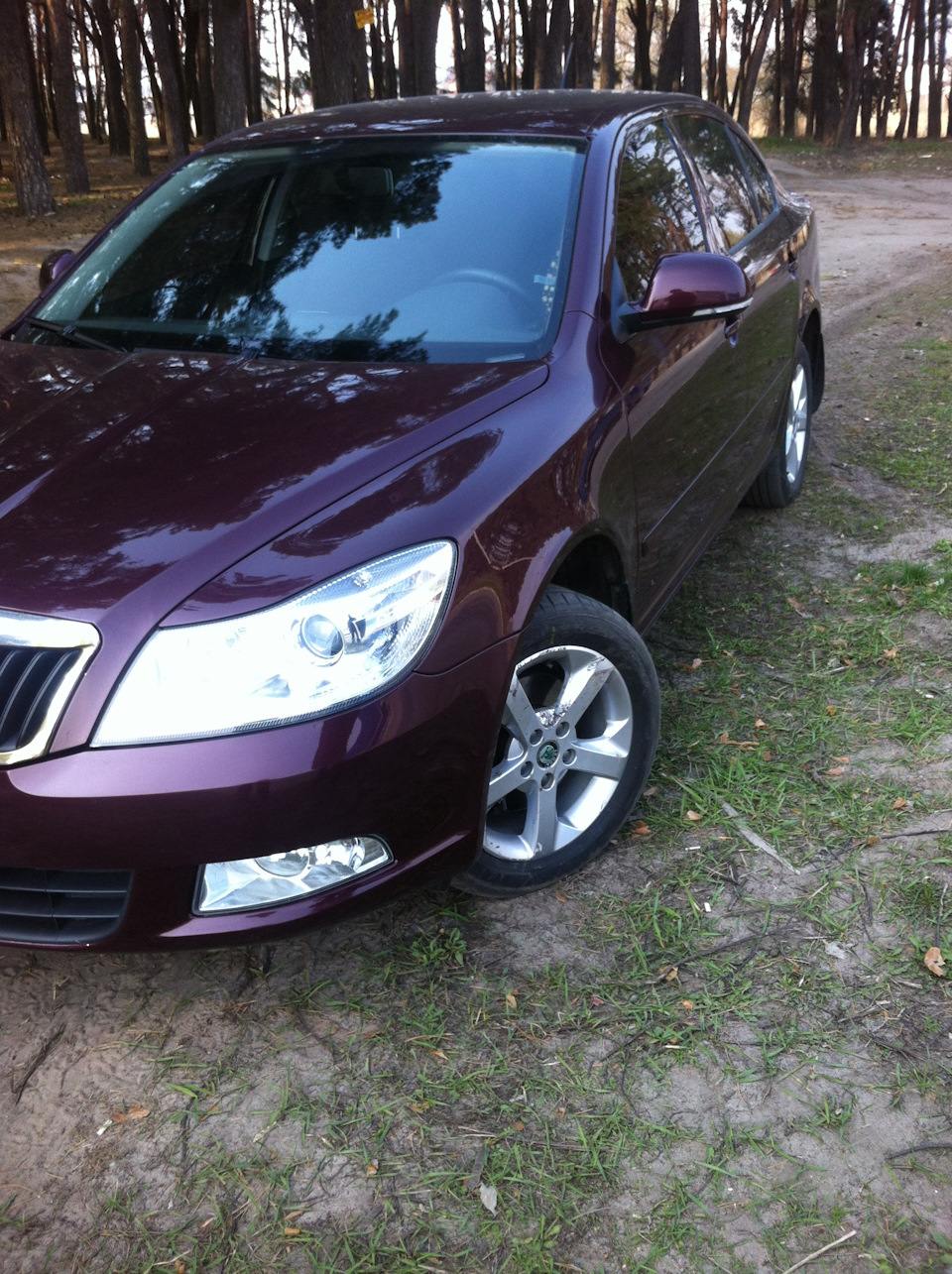 39. KIA Cerato проти Skoda Octavia TSI 1