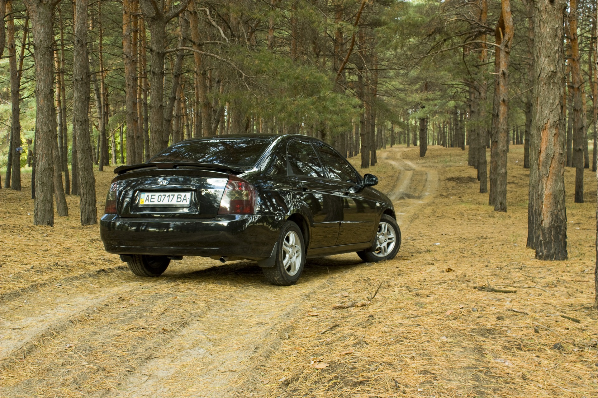 Photosession by El-Matador :) 5