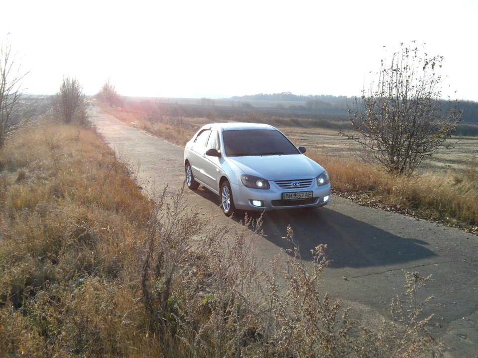 Золота осінь... 1