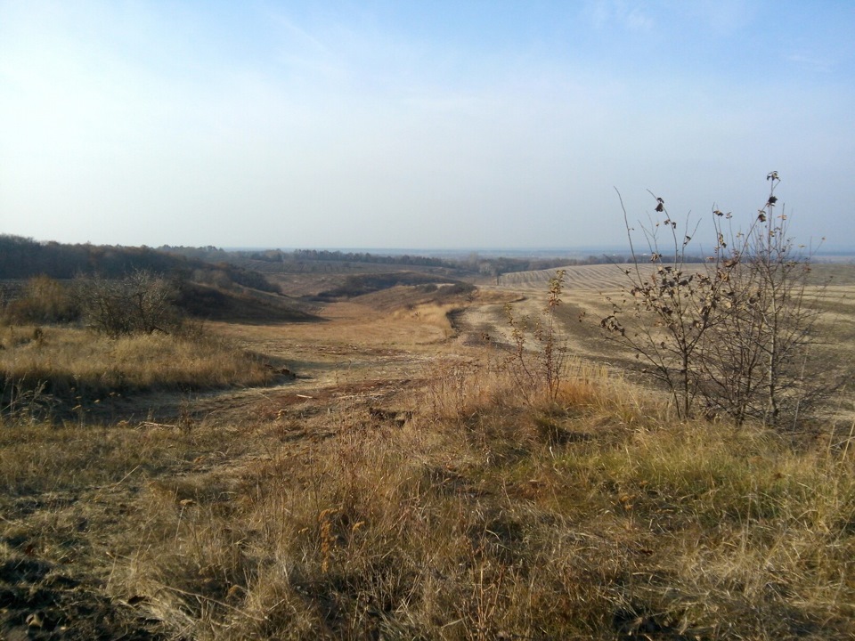 Золота осінь... 2