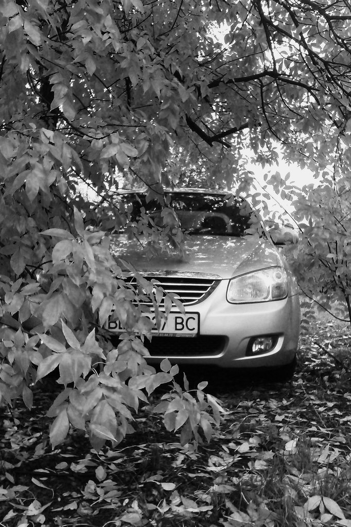Осінь осінь( 3