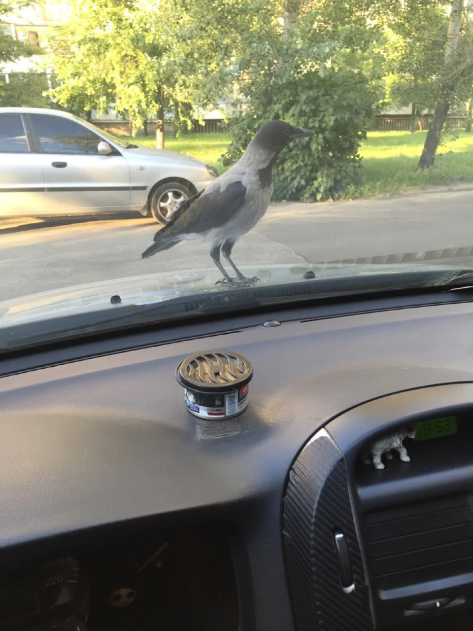 Спогади про літо!)