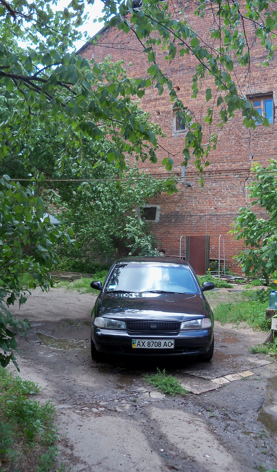 Решітка радіатора 5