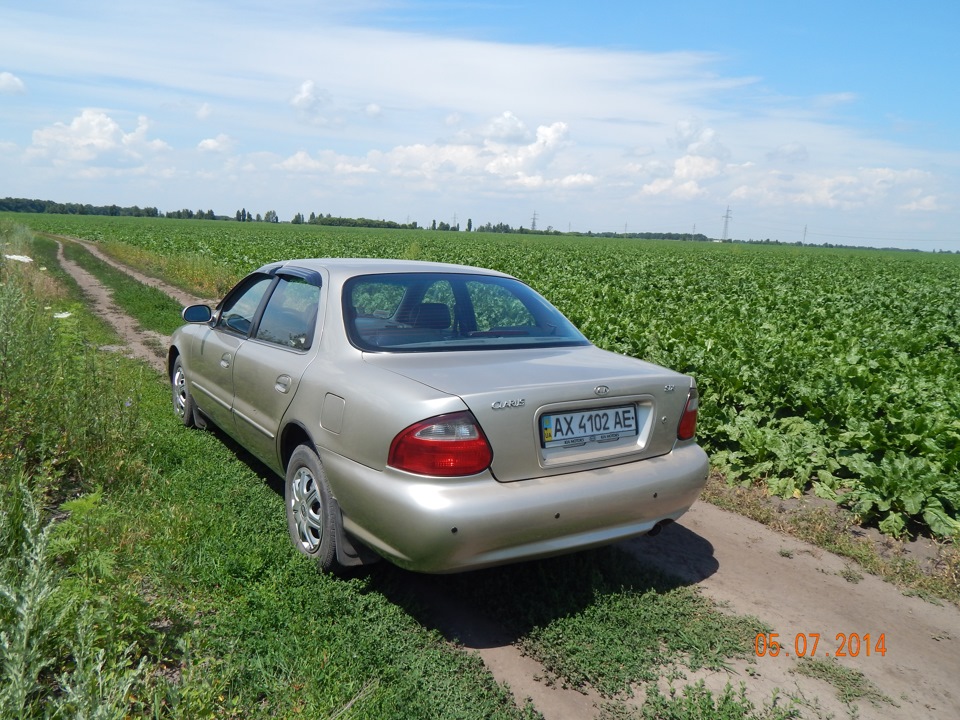Трохи фото 5