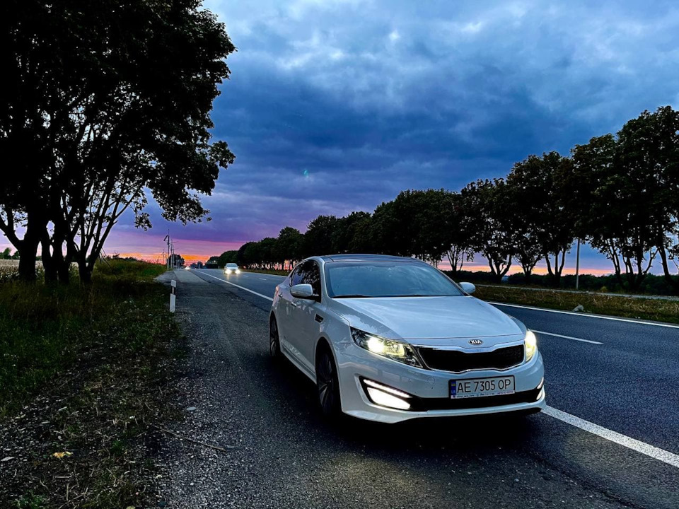My white shark 3