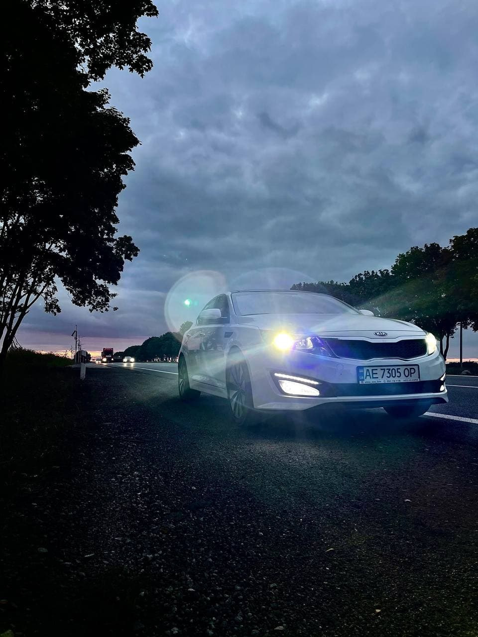 My white shark 2