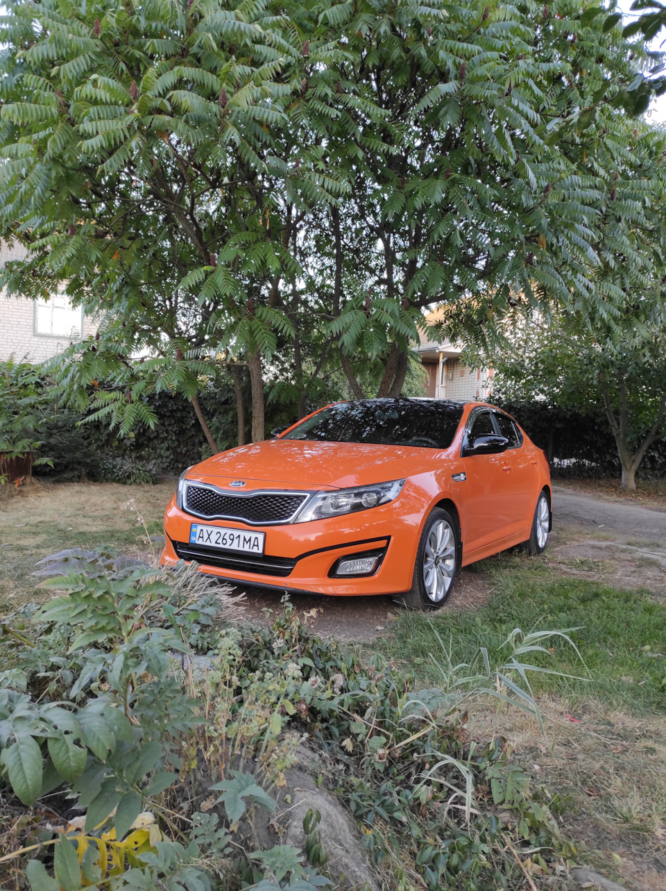 Фото Kia K5 корейська🥕 5