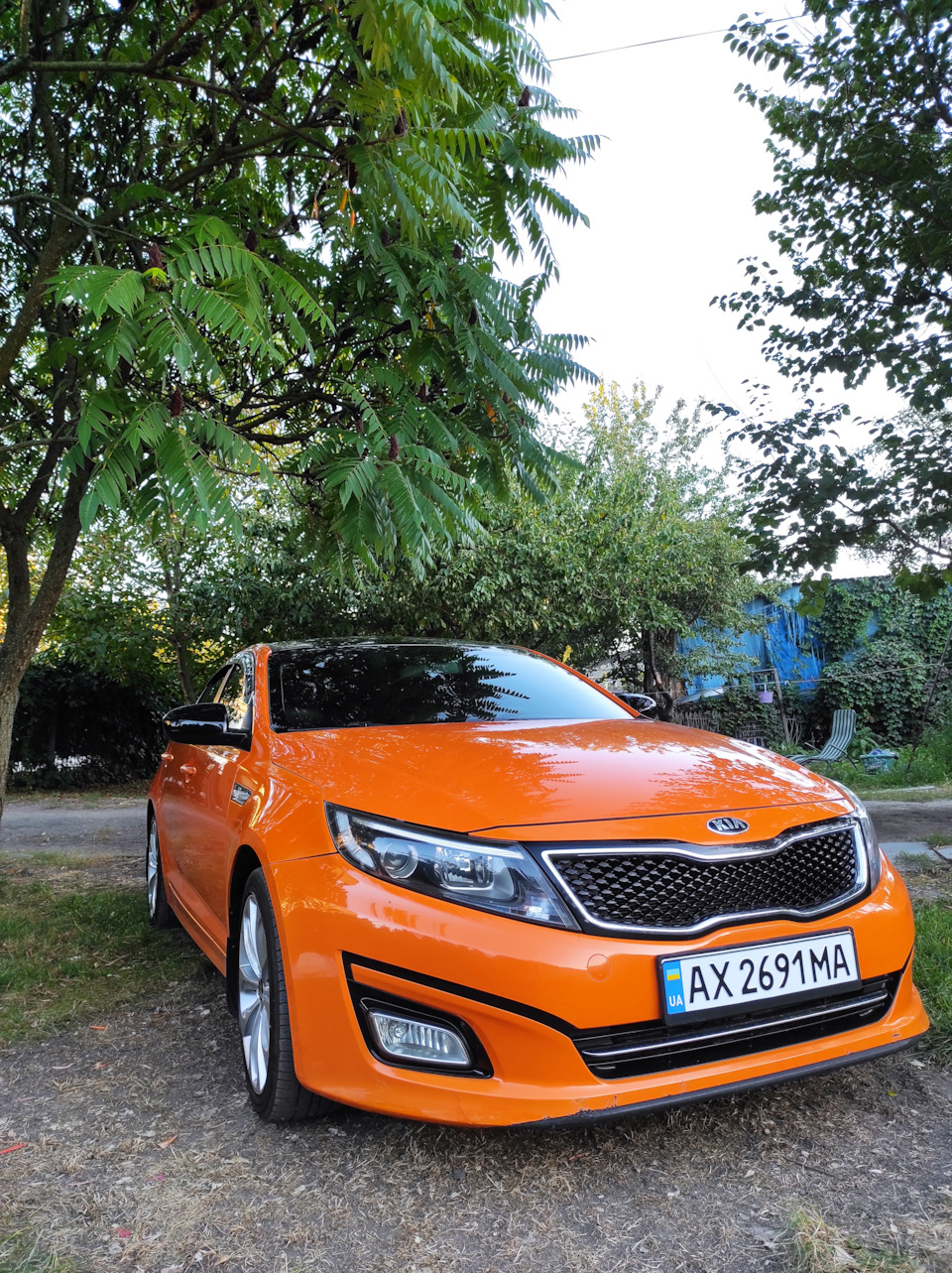 Фото Kia K5 корейська🥕 3