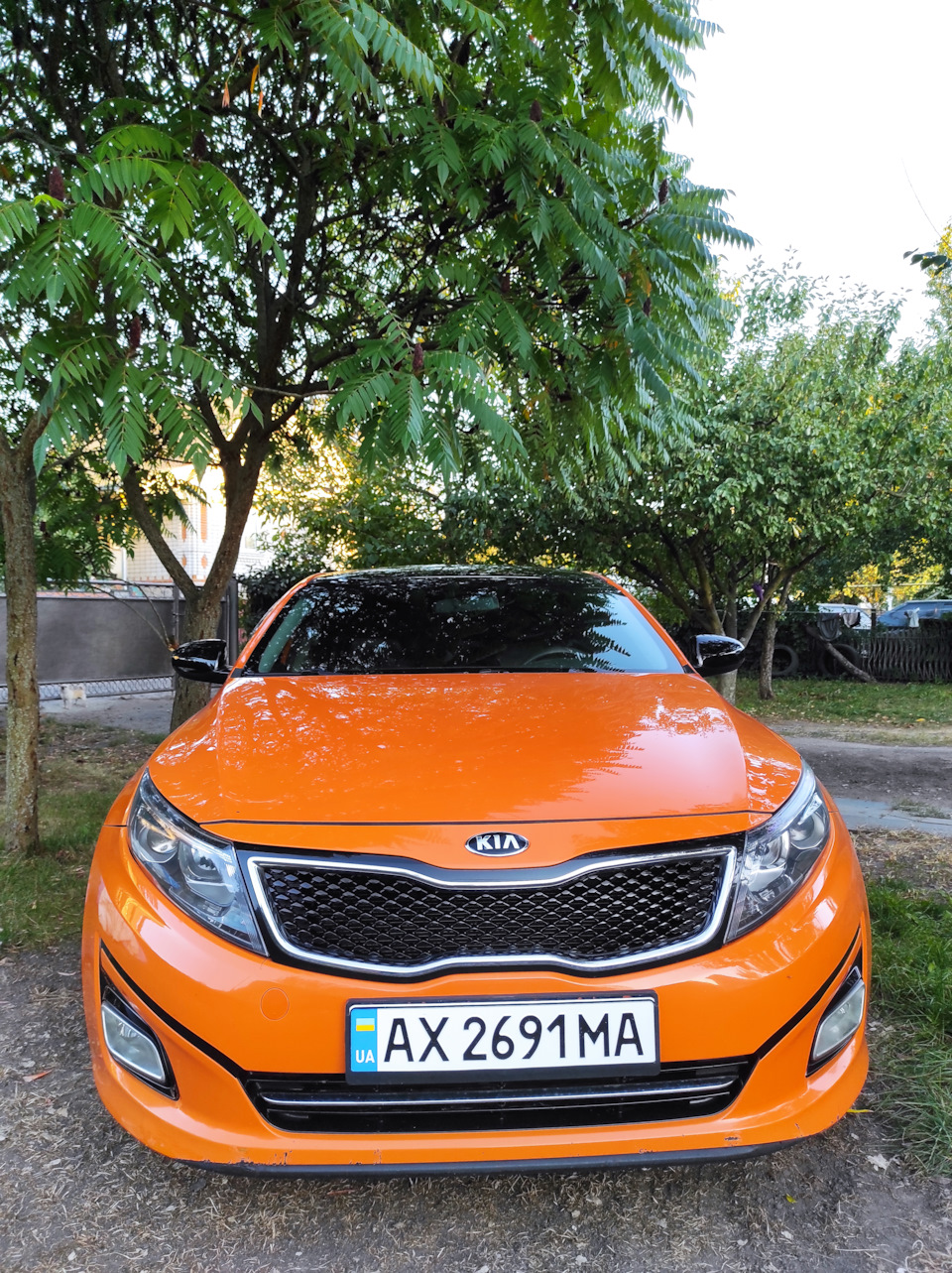 Фото Kia K5 корейська🥕 2