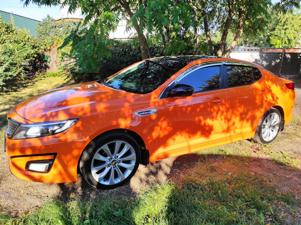 Фото Kia K5 корейська🥕 1