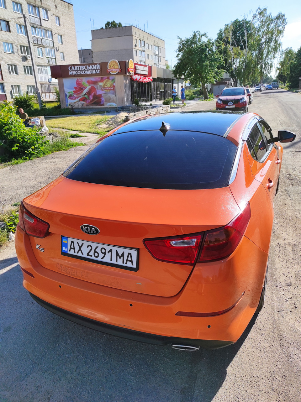 Дах, дзеркала в чорний і перетонування скла 4