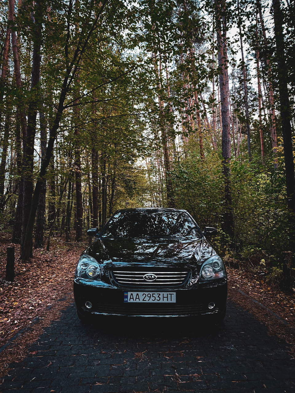 Трохи осені 🍂🍂🍂 5