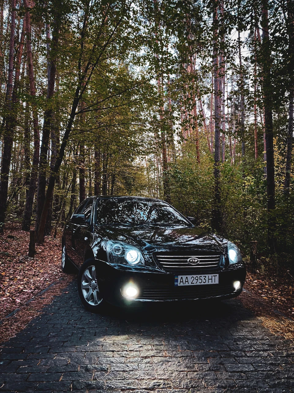 Трохи осені 🍂🍂🍂