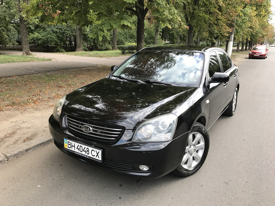 Поїхав маджик до нових господарів!) 2
