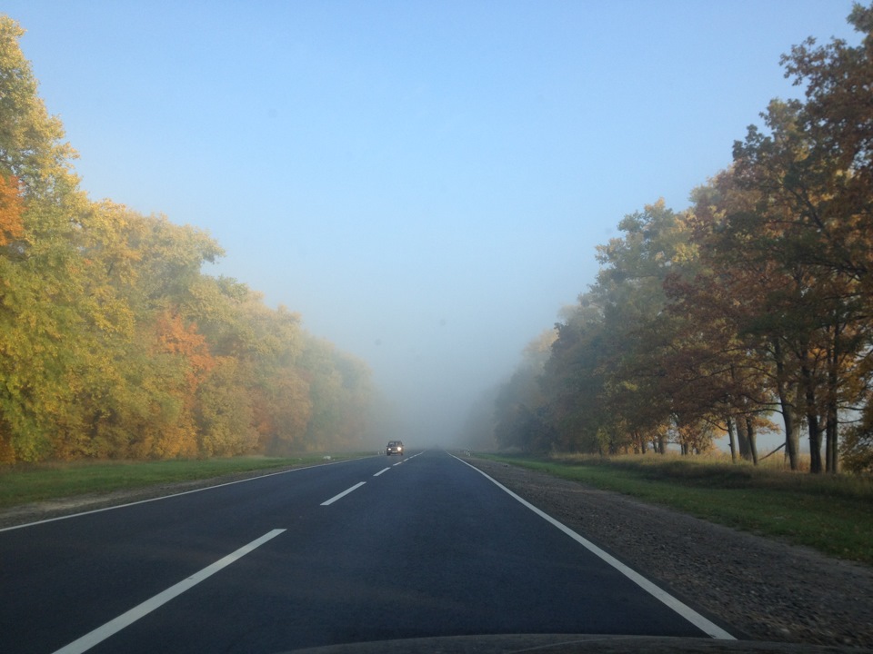 Пару осінніх фото 1