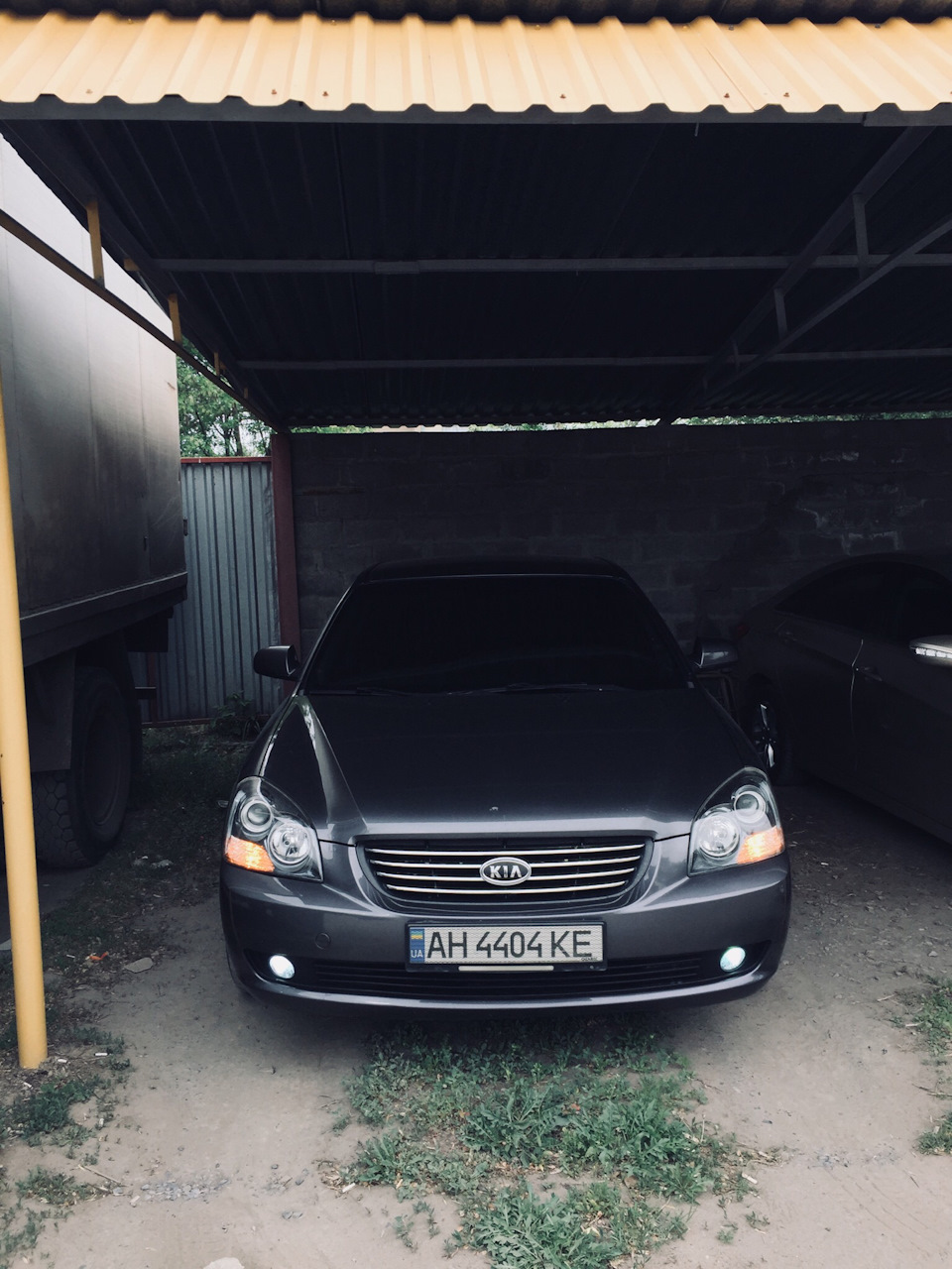 Американські Габарити 1