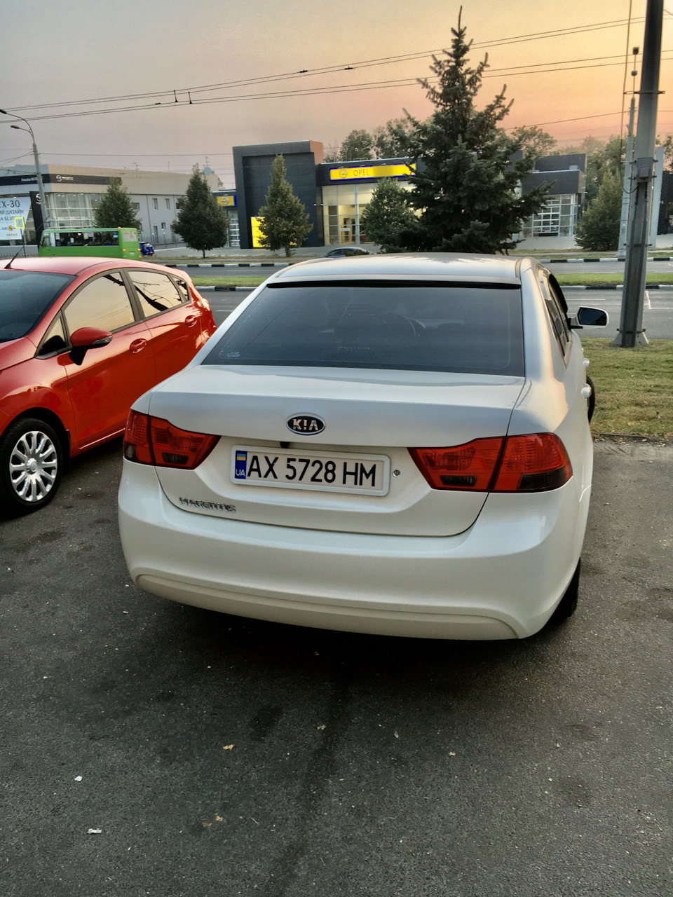 Козирок заднього скла 4