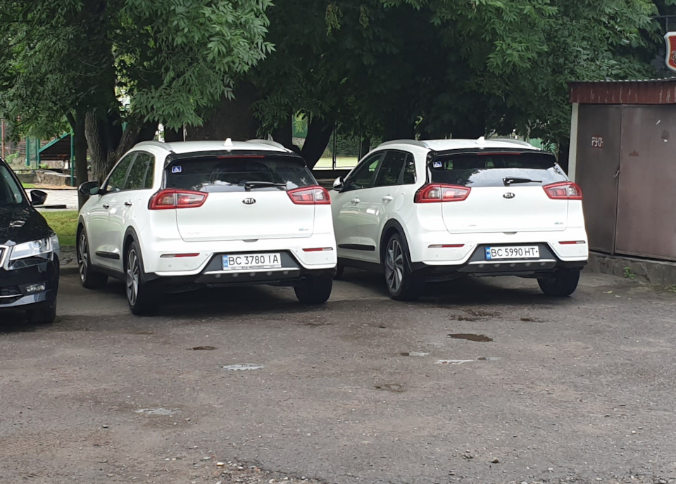 Два родичі з різних континентів :) 2