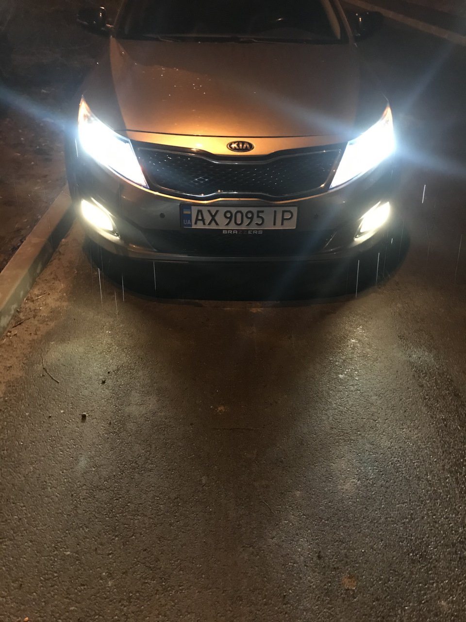 Леди в туманки 1