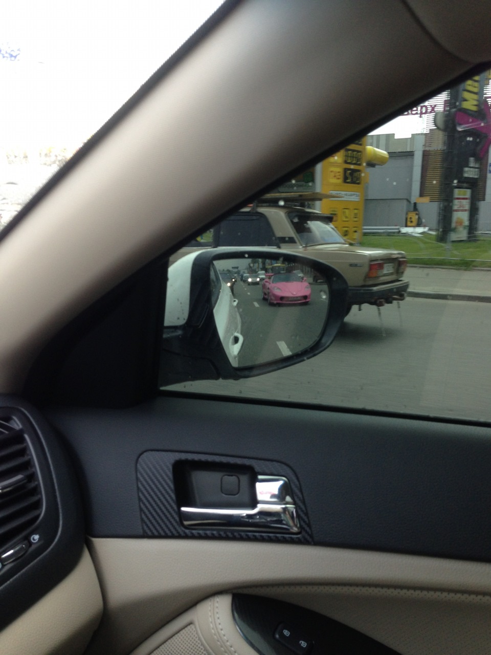 Що за звір такий? 3