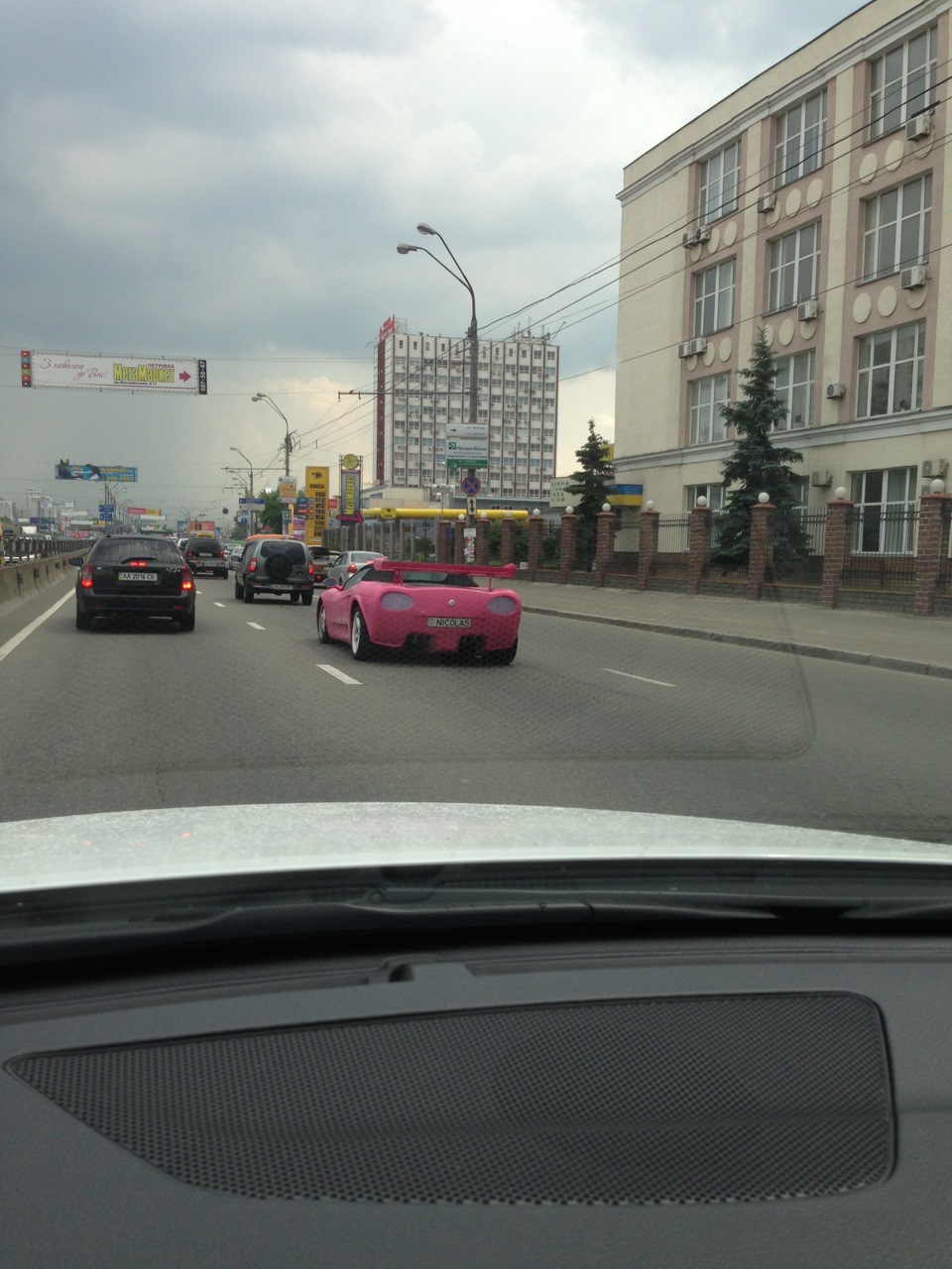Що за звір такий? 1