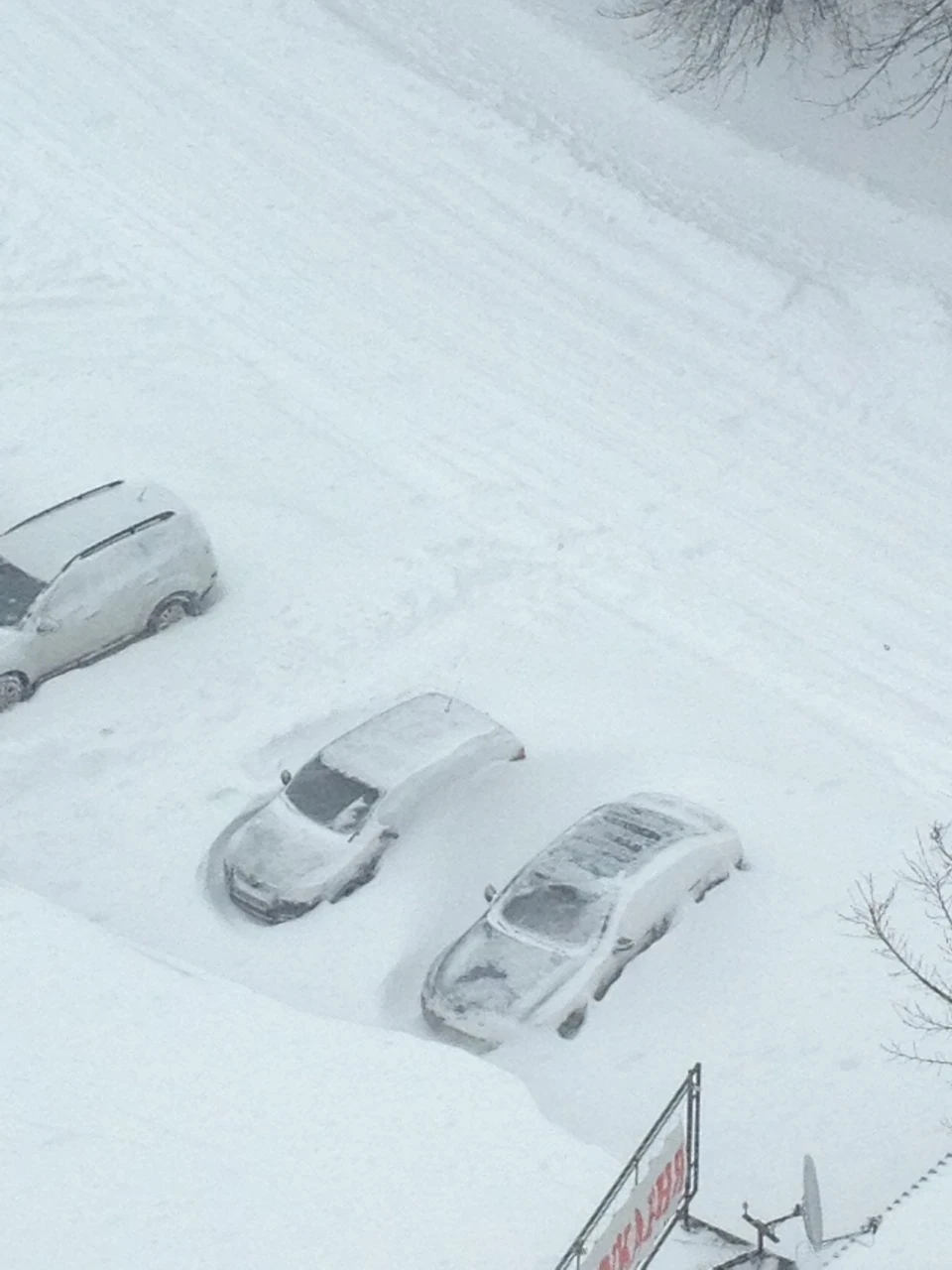 ШЕЛ 51 ДЕНЬ ФЕВРАЛЯ
