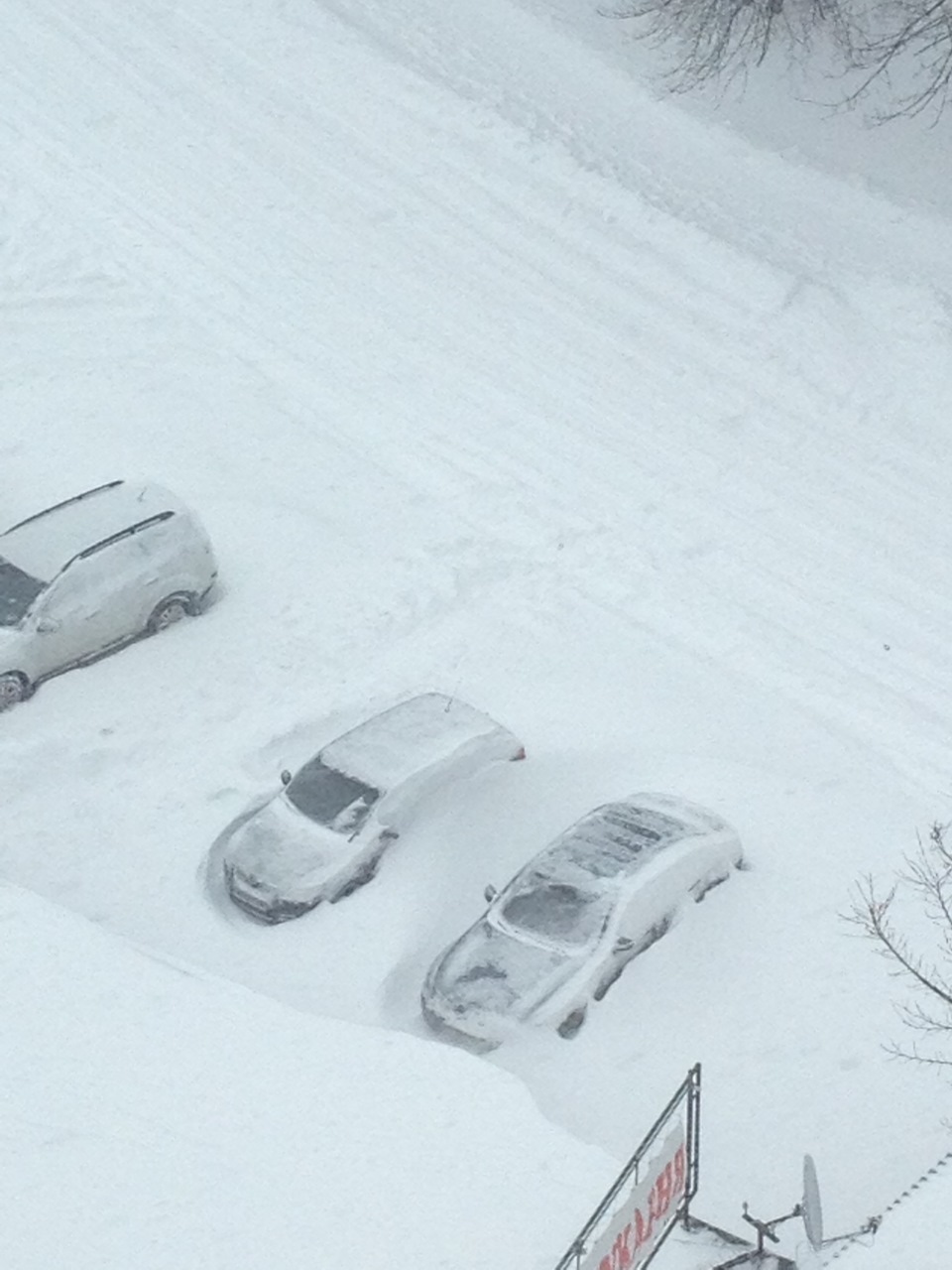 ШЕЛ 51 ДЕНЬ ФЕВРАЛЯ 1