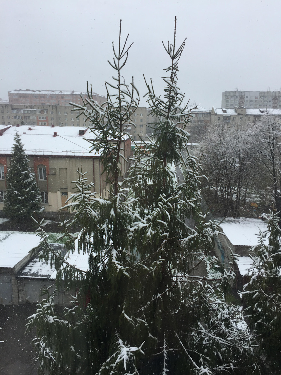 Як ми не доїхали до Грузії 1