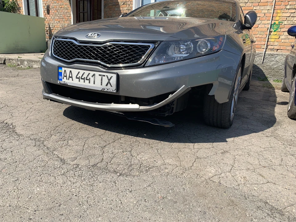У світі тварин!