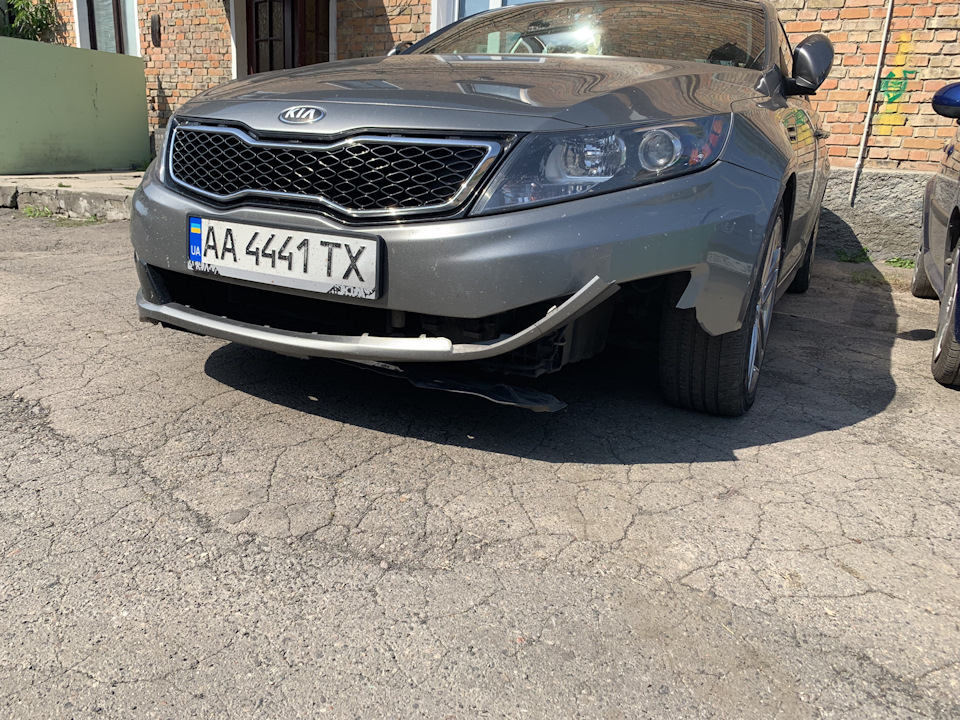 У світі тварин! 1