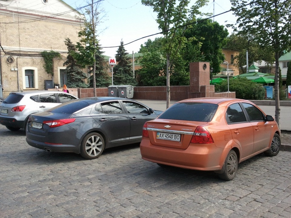 Руда красуня 1