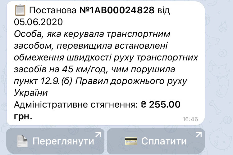 #29 Камери контролю швидкості 5