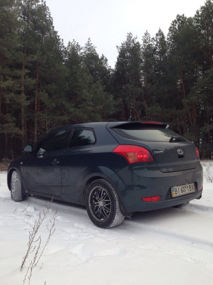 Зимовий ліс 3