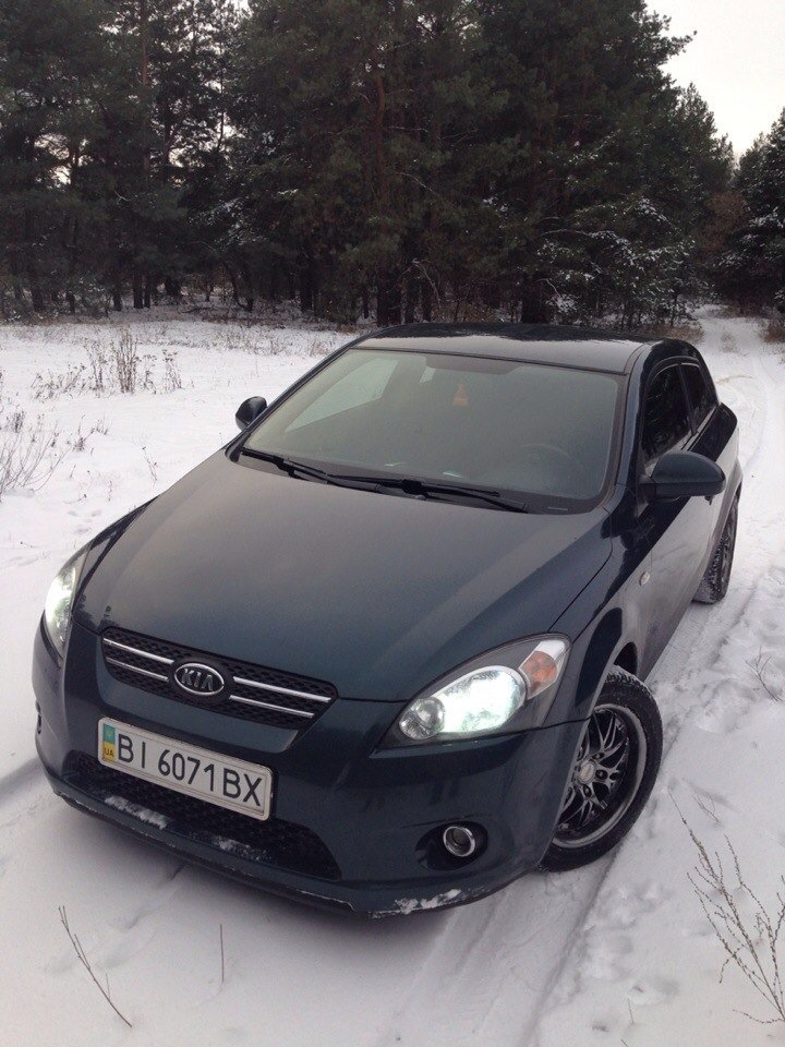 Зимовий ліс 4
