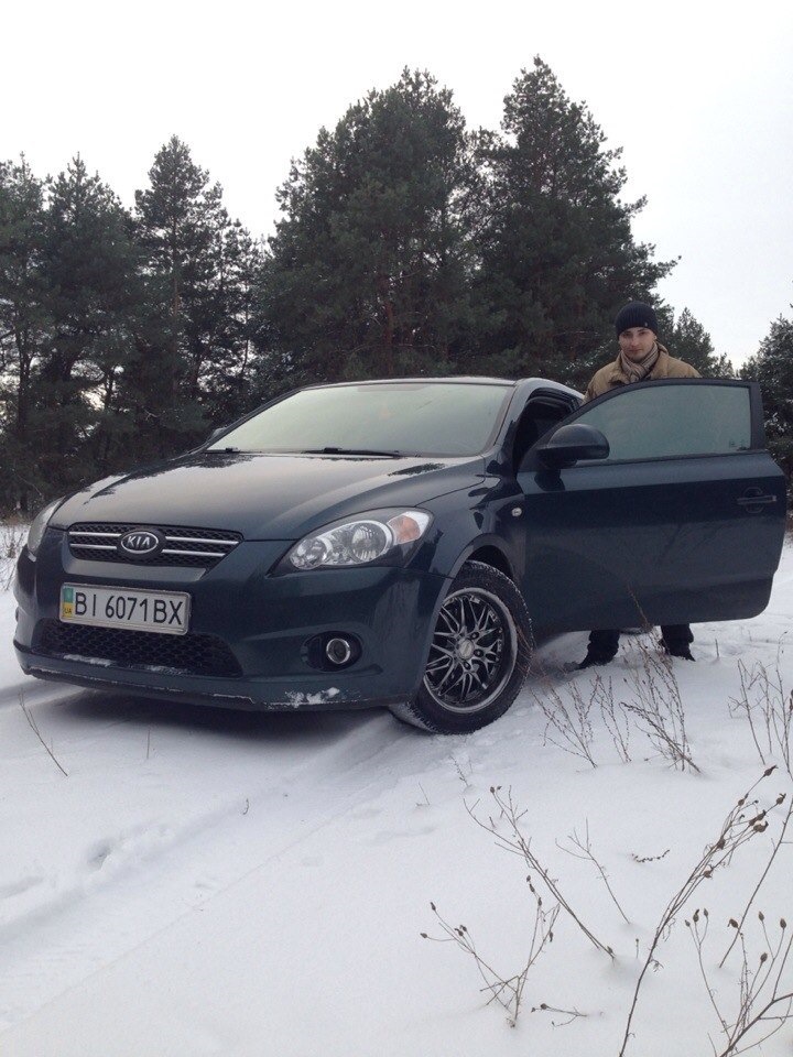 Зимовий ліс 5