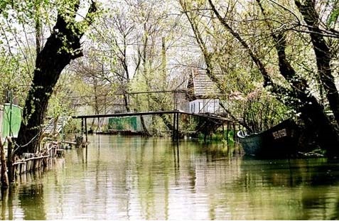 На відпочинок у Вилковому 4