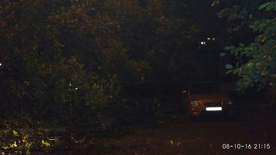 Впало дерево поруч із машиною 3