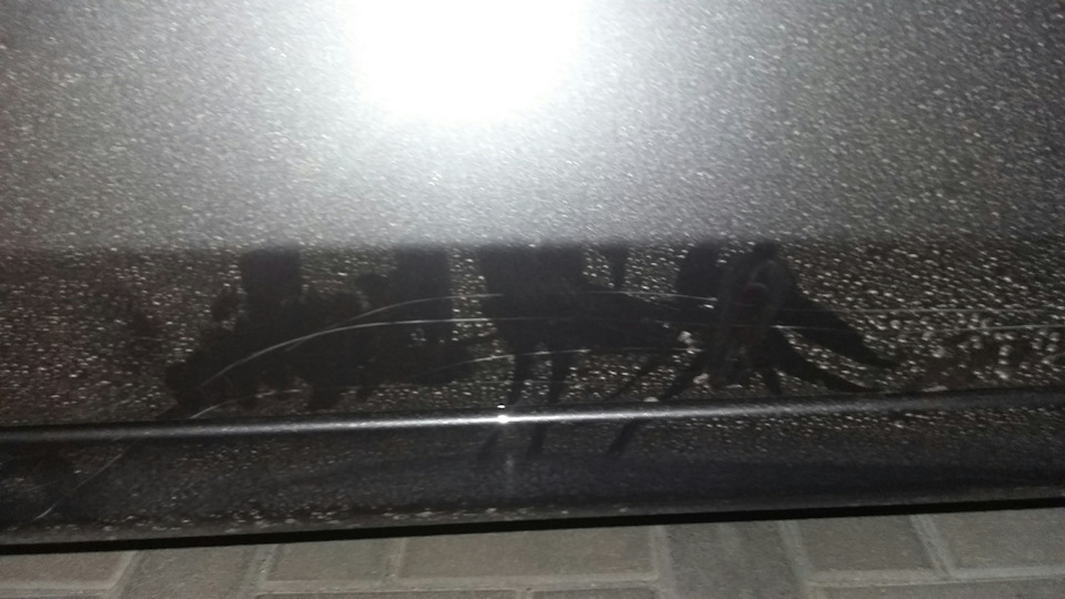 'Юккі' 'дтп' 'потрібний полірувальник' 1