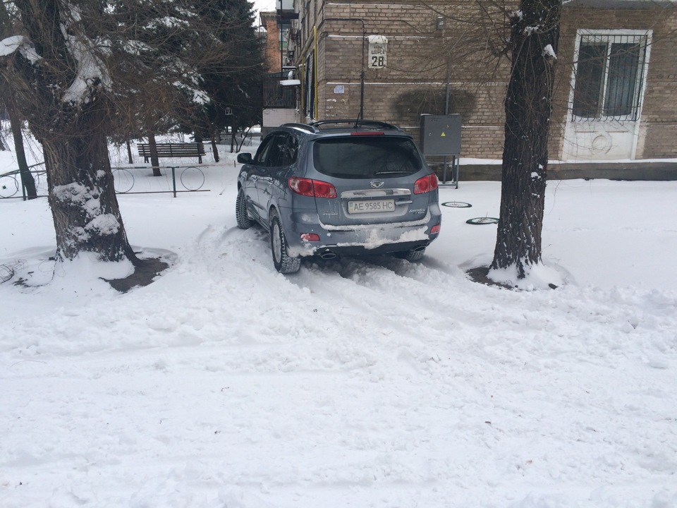 Замело так замело ...) 2