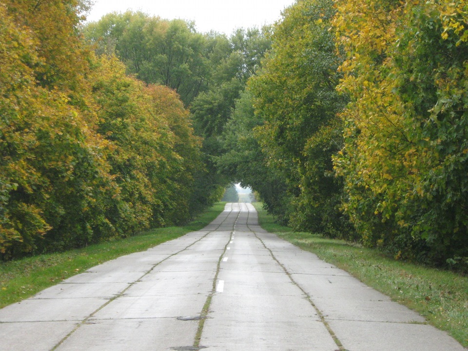 Дорога в Любеч 5
