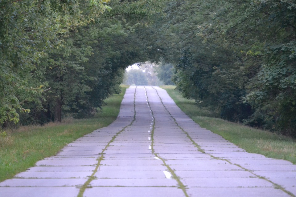 Дорога в Любеч 3