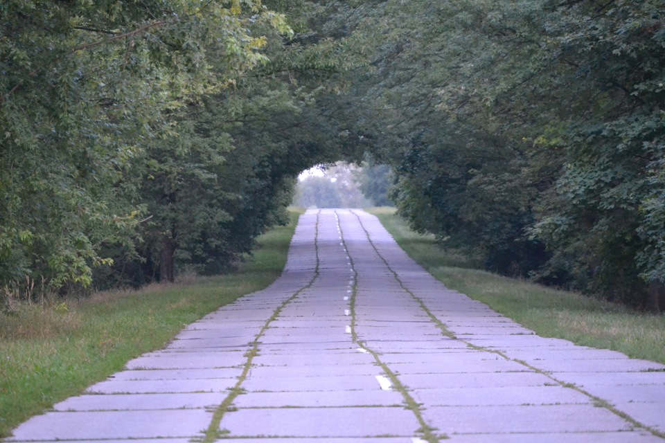 Дорога в Любеч 2