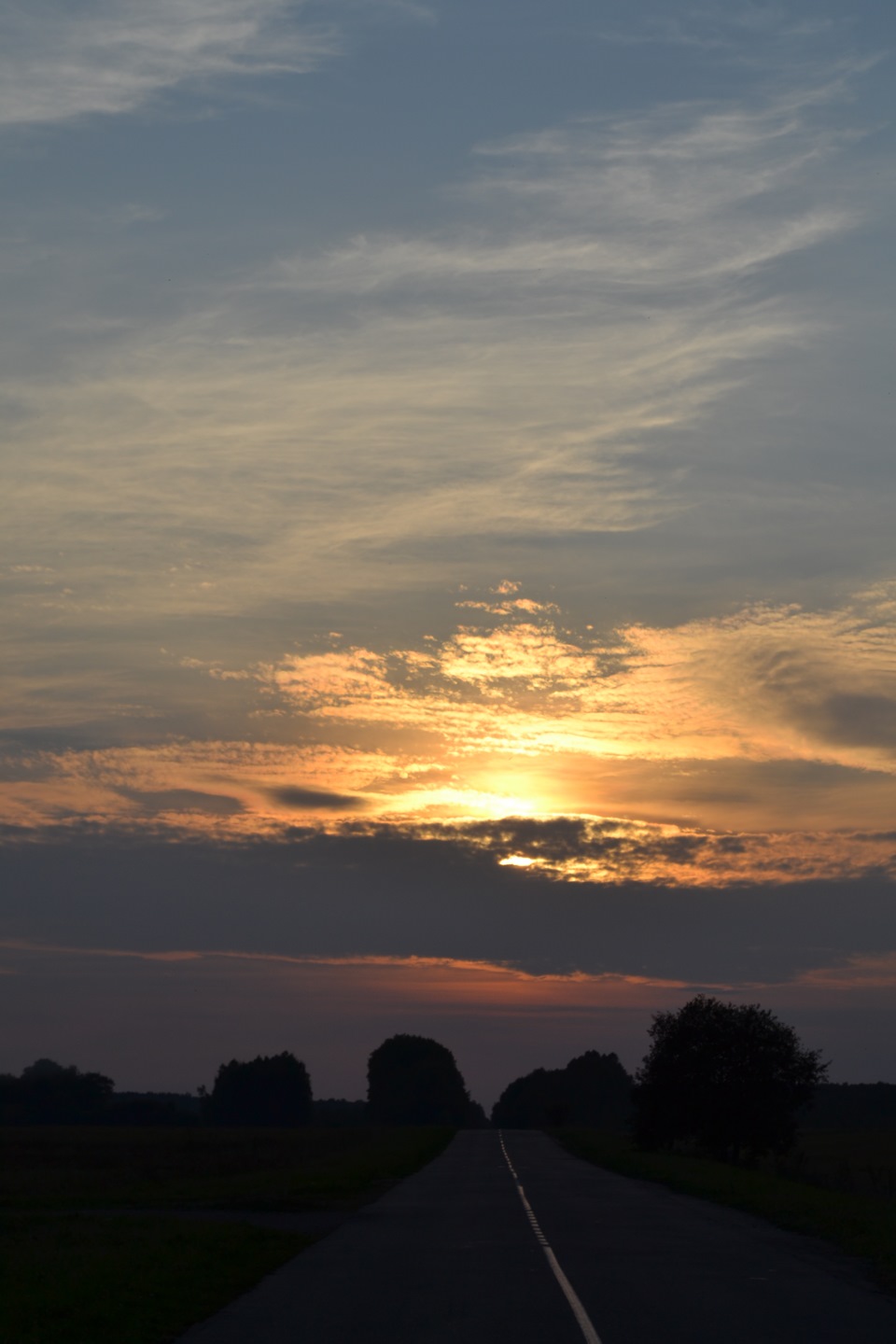 Дорога в Любеч 4