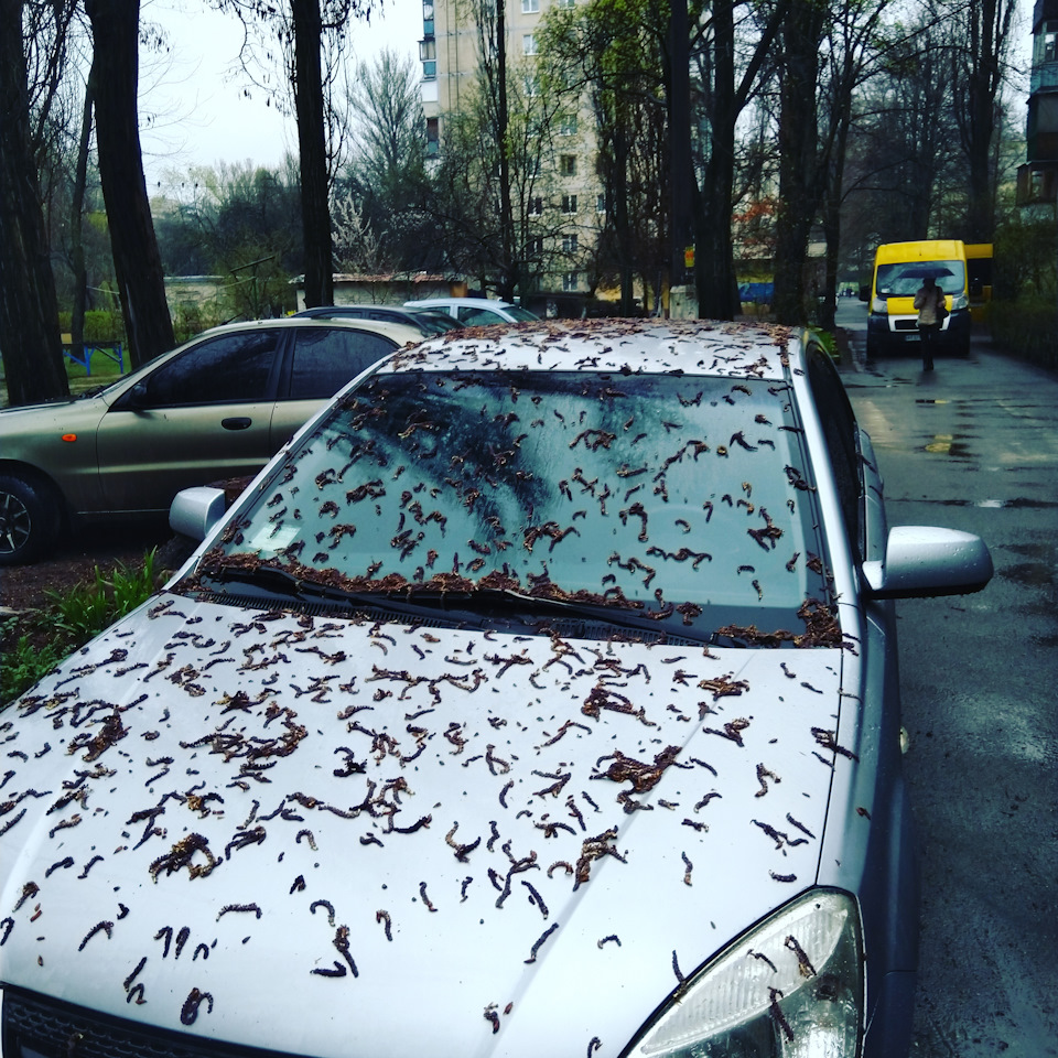 Фільтр салону та заміна лампочки 1
