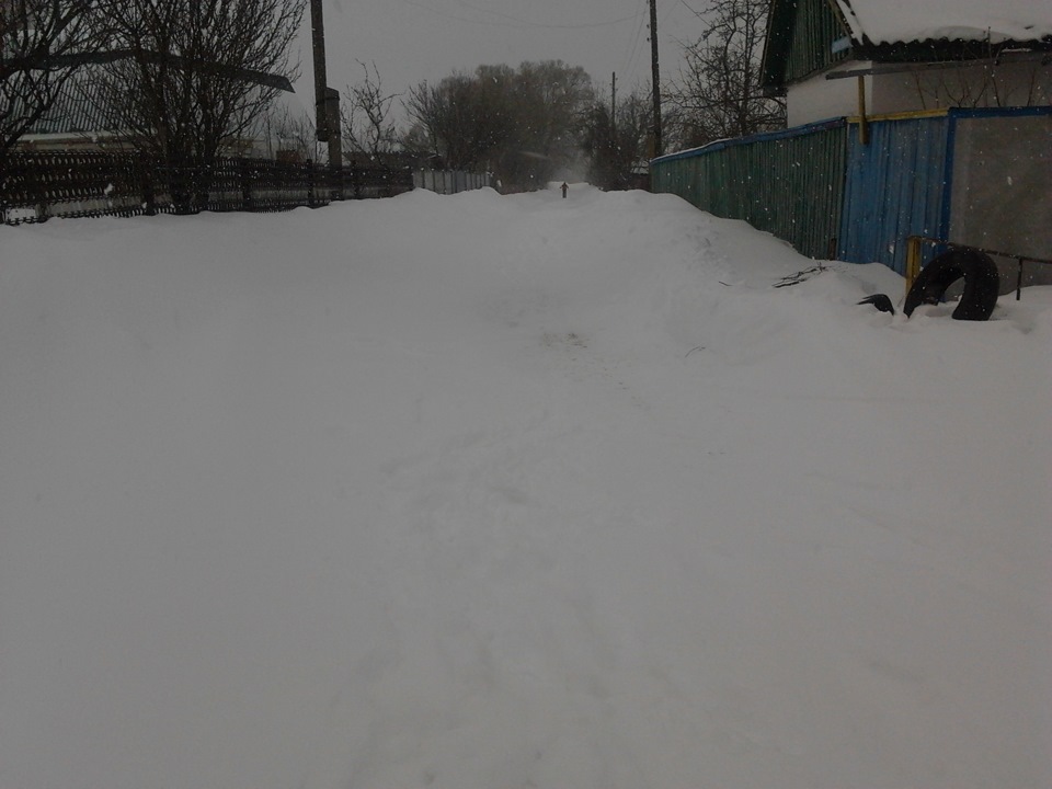 Поїздка до села) 3