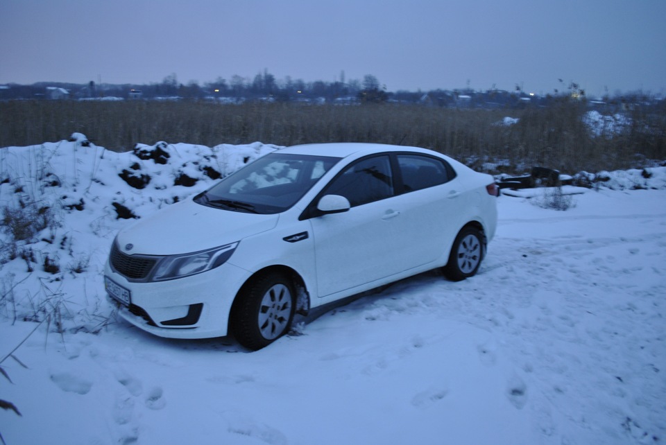 Фото з дачі 1